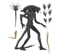 NECA Alien Romulus Xenomorph XX121 Ultimate 7 Inch Scale Action Figure - new