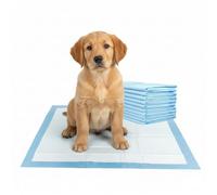 Ultra Absorbent Puppy Pads - 50 Pack - Leak-Proof Dog Training Mats, 60x45cm, Quick Dry, Odour Control, Extra Thick for Puppies, Dogs, Pets (50 Pack)