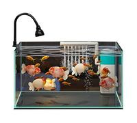 Ultra-Clear Glass Aquarium with Filter & LED Light - Desktop Betta & Goldfish Tank, Small Living Room Fish Tank for Aquascaping and Plants(30cm/11.8in)