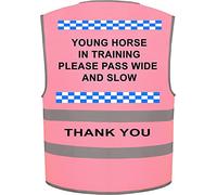 Ultra Hi Vis Viz High Visibility Reflective Vest Horse Training Equestrian (Pink, M)