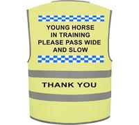 Ultra Hi Vis Viz High Visibility Reflective Vest Horse Training Equestrian (Yellow, XXL)