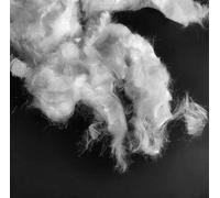 Ultra-High Molecular Weight Polyethylene Fiber - Short White UHMWPE Reinforcement Material for Industrial Applications(18mm/0.025mm 300g)