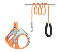 [Ultra-Light Cloud Feeling] Pet Chest and Back Traction Rope Set - Reflective, Breathable and Anti-Break-Free | Multi-Size Optional (XXXS-XXL) | Surround Fit Design |