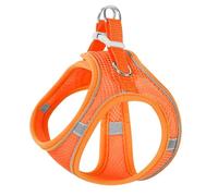 [Ultra-Light Cloud Feeling] Pet Chest and Back Traction Rope Set - Reflective, Breathable and Anti-Break-Free | Multi-Size Optional (XXXS-XXL) | Surround Fit Design |