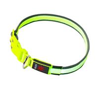 Ultra Light Up Dog Collar LED Dog Collar USB Rechargeable Light Collar Upto 10 Hours Use Per Charge 3 Settings Super Bright Waterproof Dog Light Up Collar Hi Vis Walking (Green, Small 31 to 36cm)