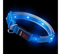 Ultra Light Up Dog Collar Small Blue LED Dog Collar USB Rechargeable Light Collar Upto 10 Hours Use Per Charge 3 Settings Super Bright Waterproof Dog Light Up Collar for Hi Vis Walking Night Safety
