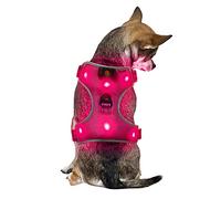 Ultra Pink LED Dog Harness - Small Size USB Rechargeable Light Up Anti-Pull Safety Vest - Bright Flashing Hi-Vis Illuminated Jacket