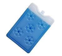 Ultra Slim Cooling Sheet - Slim & Cooling Lunch Box with Cooler Ice Packs - Reusable Gel Cold Sheet, Compact Freezer Brick | The T Formula