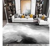 Ultra Soft Floor Carpet, 60cm x 110cm Luxury Fluffy Shag Lounge Area Rug Ideal for Living Room, Bedroom, Nursery, Kids Baby Room White Gray Black Abstract Gradient