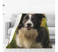 Ultra-Soft Micro Fleece Blanket Mohado Border Collie Dog Throw Blanket Warm Fuzzy Plush Blanket for Couch Lightweight Flannel Throw Blankets for Sofa All Season Soft Cozy Microfiber Blanket 80"x60"