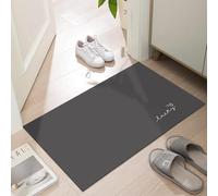Ultra Thin Door Mat 1/10 in Thin Super Absorbent Non-Slip Quick Drying Washable Indoor Floor Mats for Front Door Inside Entryway Flat Backed Narrow Welcome Mat 35"X24" lucky Grey mat