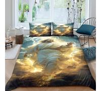 Ultrasoft 3D Print Microfiber Jesus ascending Quilt Cover All Season Bedding Sets with Pillowcases divine spiritual art Duvet Cover Set Easy Care Breathable Washable for Home Decor Single（140x200cm）