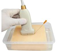 Ultrasound-Guided Puncture Training Model, with 9 Simulated Lumps, Self-Healing Gel Material, Can Be Practiced Repeatedly, Tumors Cancers Model, for Medical Practice and Education.