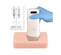 Ultrasound-Guided Vascular Puncture Training Model, Ultrasonic Simulator with Blood Vessels, for Medical-Education