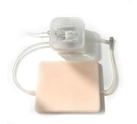 Ultrasound Phantom Training Model for Biopsy & Vascular Puncture - Reusable Ultrasound-Guided Biopsy/Vascular Puncture Simulation Pad for Medical Education, Injection Practice