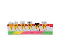 Ultrassist Dental Caries Developing Model, Dental Teeth Model for Dental Tooth Anatomy Study, Doctor-Patient and Oral Care Education
