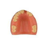 Ultrassist Maxillary Dental Implant Model Missing Partial Teeth, Basic Implant Training Model with Practice Soft Gums, Great Dental Training Tooth for Dental Implant Practice