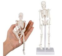 Ultrassist Mini Human Skeleton Model, 7.8" Movable Anatomy Skeleton, Adult & Kids Teaching Tool, Decoration