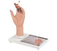 Ultrassist Smoking Hand Model with Rotating Magnetic Tray, for Medical Education & Health Awareness Teaching
