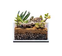 Ultum Nature Systems Rimless Aquarium - 0.7 Gallon Nano Tank, 5mm Thick Ultra Clear Low Iron Glass, Kit w/Black Leveling Mat - 6.3 in x 6.3 in x 3.94 in