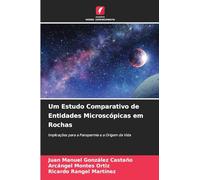 Um Estudo Comparativo de Entidades Microscópicas em Rochas: Implicações para a Panspermia e a Origem da Vida