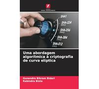 Uma abordagem algorítmica à criptografia de curva elíptica