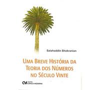 uma breve historia da teoria dos numeros no seculo vinte