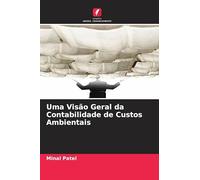 Uma Visão Geral da Contabilidade de Custos Ambientais