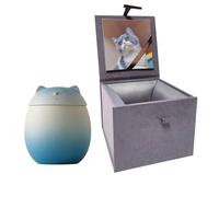 Umberdom Cat Urns for Ashes, Matte Ceramic Cat Ashes Urns Handicrafted Pets Ashes Urns Keepsake Memorial Gift, Ashes Holder with Box-Blue, S