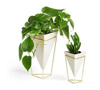 Umbra Trigg Desktop Planter Vase and Geometric Ceramic Container - Great For Succulent Plants, Air Plant, Mini Cactus, Faux Plants and More, Set of 2, Tabletop, White/Brass, Large/Small