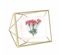 Umbra 313016-221, Steel Prisma Multi-Photo Frame, Gold (Matt), 4x6