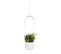 Umbra Bolo Hanging Planter, Great for Succulents and Other Small Plants 1009571-660