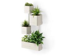 Umbra Cubiko Wall-Mount Planter with Four Adjustable Pots, Suitable for Indoor or Outdoor Use, Sand