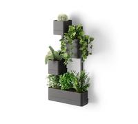 Umbra Cubiko Wall Planter, Geometric Metal Plant Holder, Black | Open cube frame, fits small potted plants and succulents, indoor use, brings greenery to empty walls