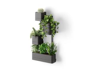 Umbra Cubiko Wall Planter, Geometric Metal Plant Holder, Black | Open cube frame, fits small potted plants and succulents, indoor use, brings greenery to empty walls