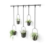 Umbra Hanging Planter, for Succulents, Herbs and Other Small Plants, Polypropylene Metal, Black, 5 Pots