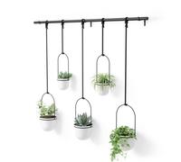 Umbra Hanging Planter, for Succulents, Herbs and Other Small Plants, Polypropylene Metal, Weiss, 5 Pots