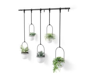 Umbra Hanging Planter, for Succulents, Herbs and Other Small Plants, Polypropylene Metal, Weiss, 5 Pots