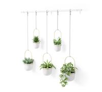 Umbra Hanging Planter, for Succulents, Herbs and Other Small Plants, Polypropylene (PP) Metal Brass, Weiss/Messing, 5 Pots