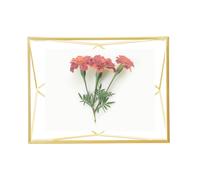 Umbra Prisma Picture Frame, 4 x 6 Photo Display for Desk or Wall, Matt Brass