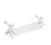Umbra Shelf, Steel, White, One Size, 1015705-660
