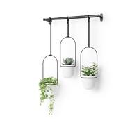 Umbra Triflora Hanging Planter Set of 3 or 5 Wall or Ceiling Mount