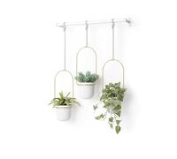 Umbra Triflora Hanging Planter for Window, Indoor Herb Garden, White/Brass, Triple