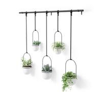 Umbra Hanging Planter, for Succulents, Herbs and Other Small Plants, Polypropylene Metal, Weiss, 5 Pots