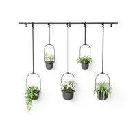 Umbra Triflora Hanging Planter, 5 Pot