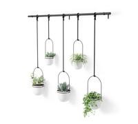 Umbra Hanging Planter, for Succulents, Herbs and Other Small Plants, Polypropylene Metal, Weiss, 5 Pots