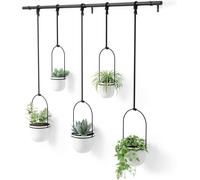 Umbra Hanging Planter, for Succulents, Herbs and Other Small Plants, Polypropylene Metal, Weiss, 5 Pots