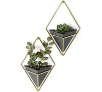 Umbra Trigg Hanging Planter Vase and Geometric Wall Decor Vessel - Great For Succulent Plants, Air Plant, Mini Cactus, Faux Plants and More, Set of 2,