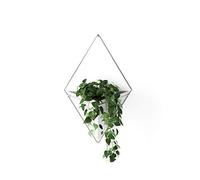Umbra 470752-670 Trigg Hanging Planter Vase & Geometric Wall Decor Container, Large - White & Nickel