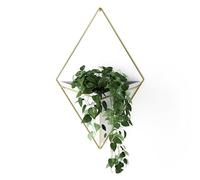 Umbra Trigg Hanging Planter Vase & Geometric Wall Decor Ceramic Container - Great For Succulent Plants, Air Plant, Mini Cactus, Faux Plants and More, Large, White/Brass